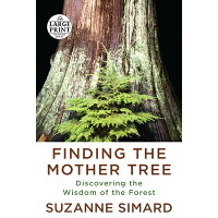 Finding the Mother Tree: Discovering the Wisdom of the Forest /RANDOM HOUSE LARGE PRINT/Suzanne Simard
